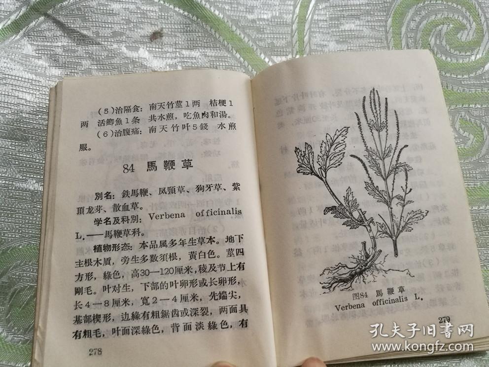 后附有毒蛇咬伤防治常识和单方验方88个)