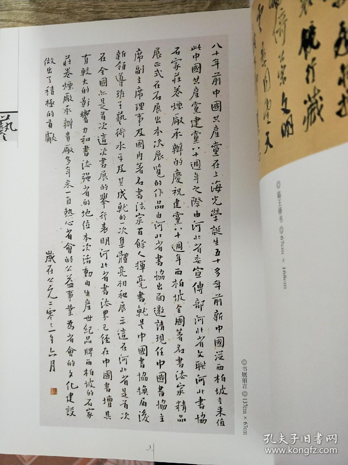 胡立民书法精品集