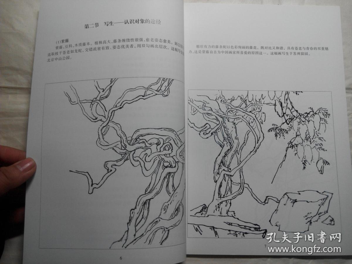 画藤蔓要诀