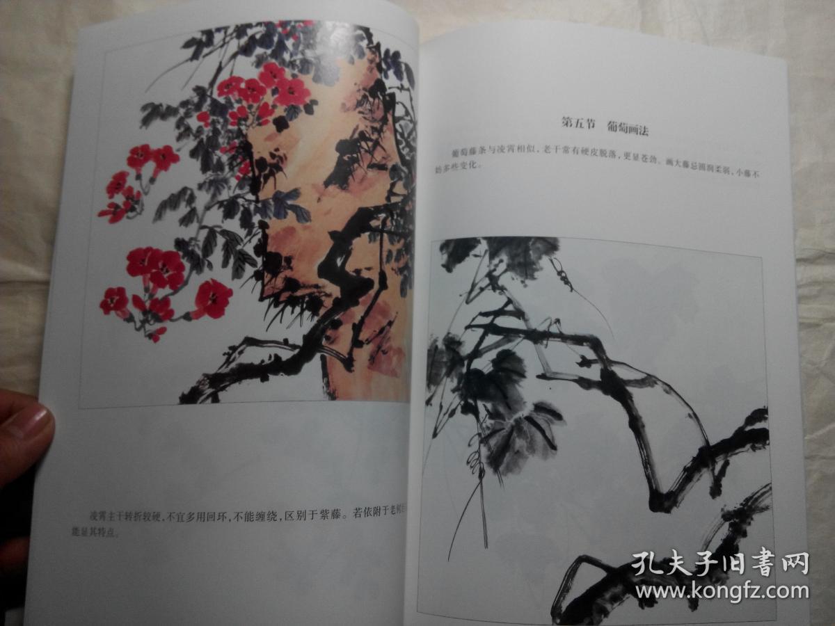 画藤蔓要诀