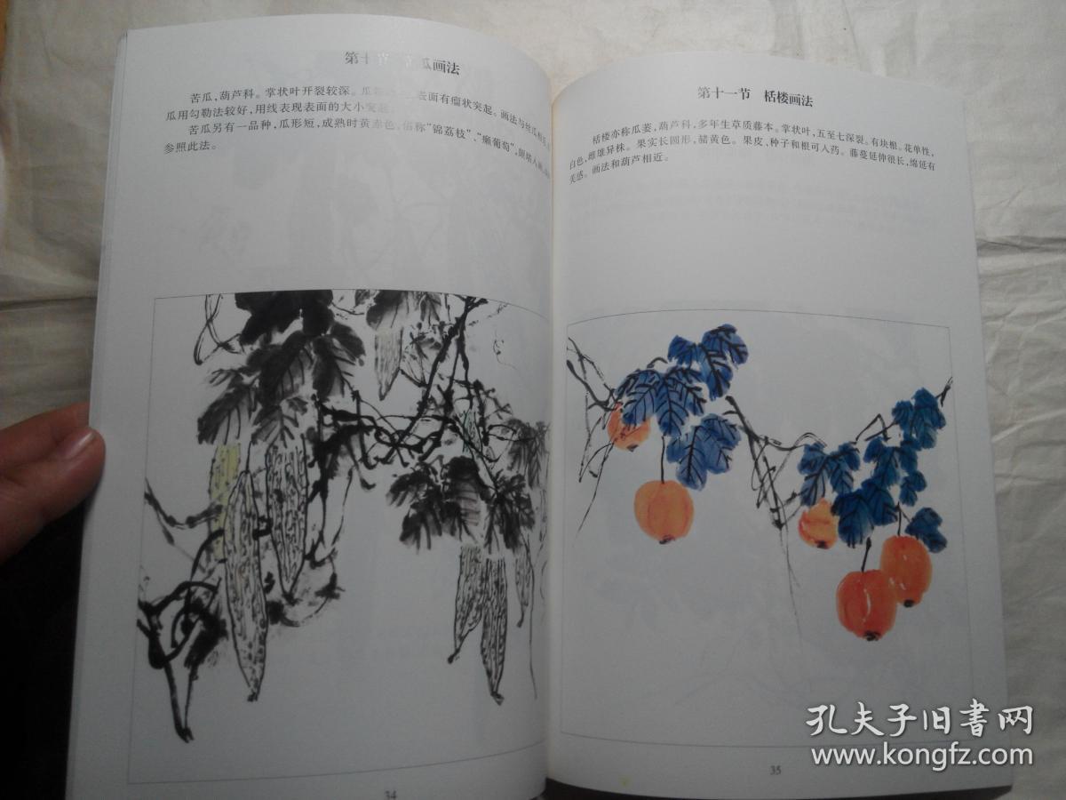 画藤蔓要诀