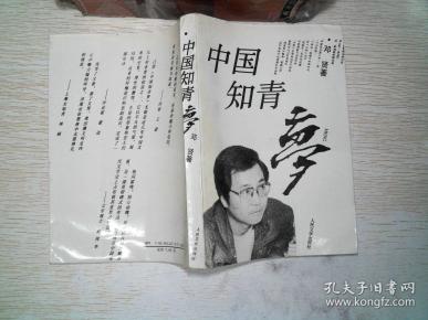 中国知青梦