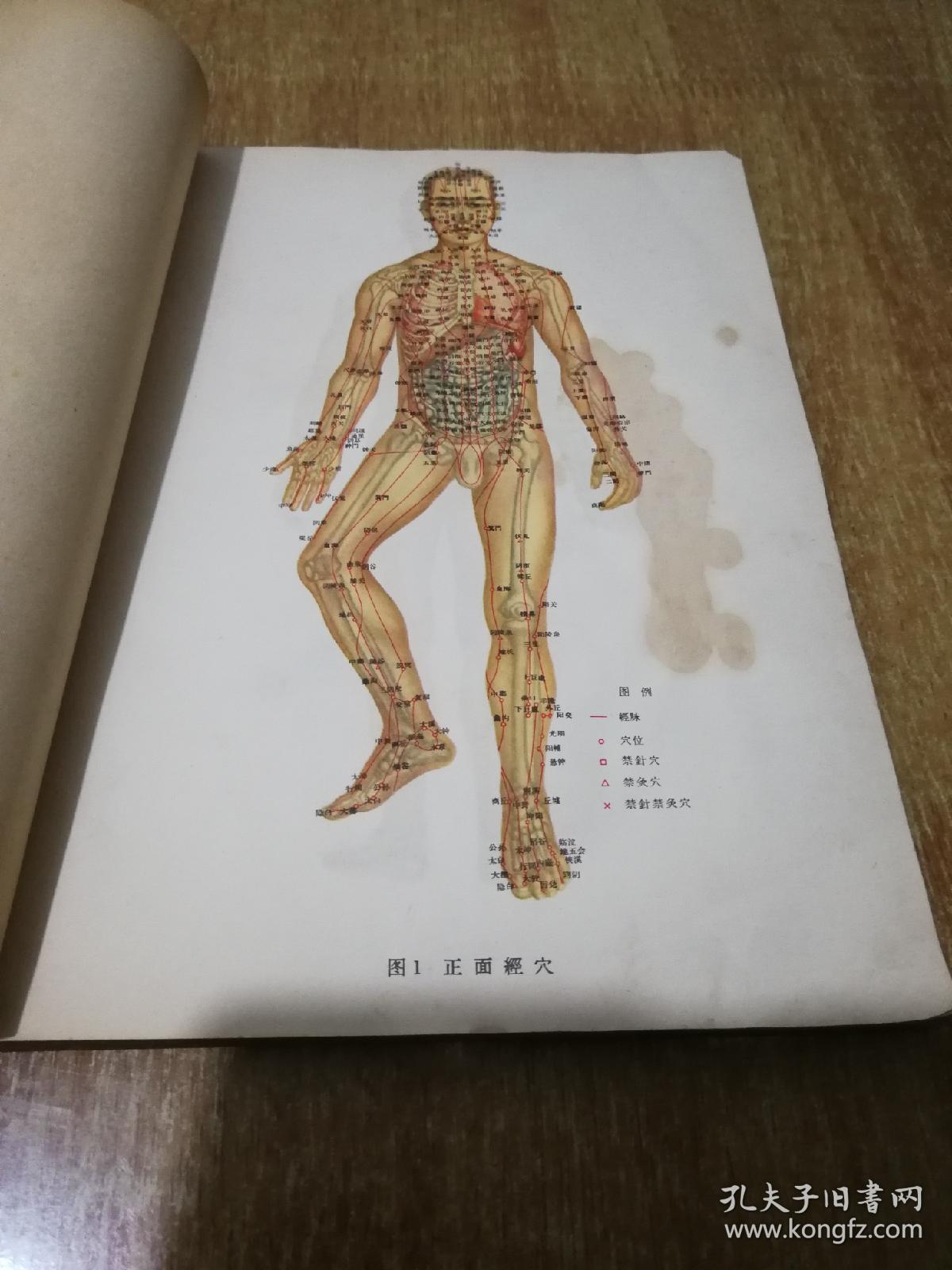 针灸腧穴图谱