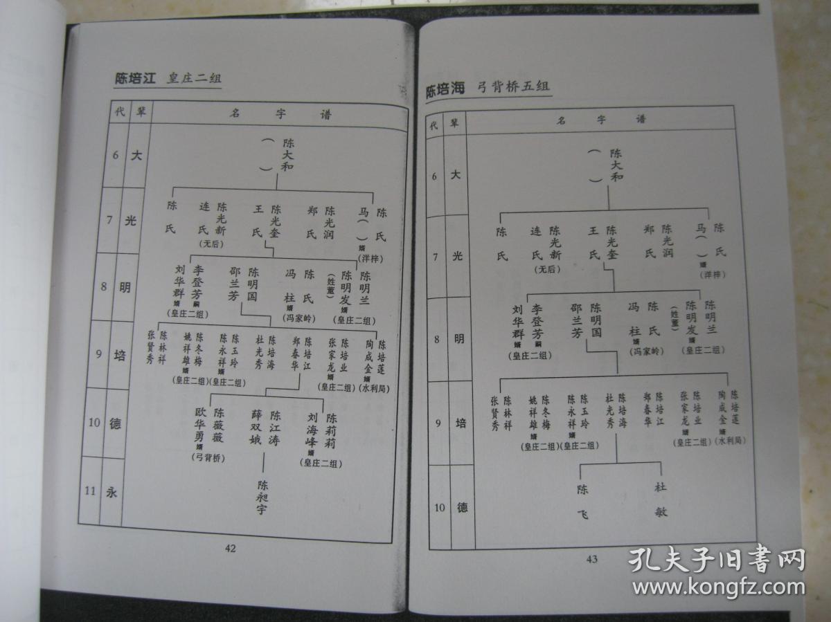 钟祥皇庄陈家台陈氏族谱.湖北省钟祥