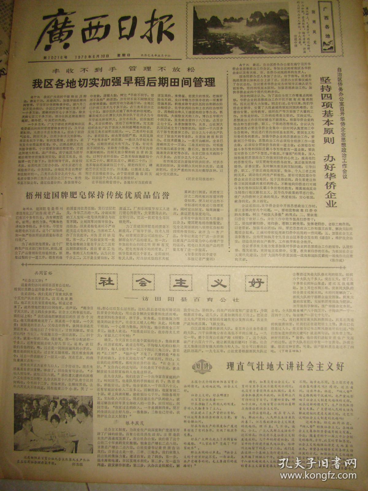 《广西日报》【社会主义好--访田阳县百育公社