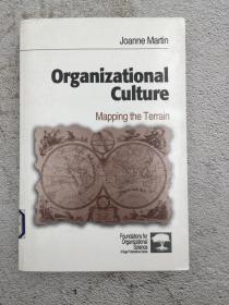 Organizational Culture: Mapping the Terrain