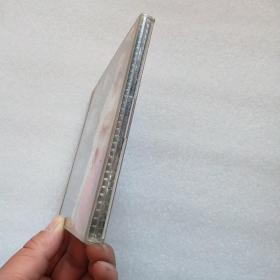 谢雨欣 天龙八部 天龙八部 歌曲 2VCD 如图