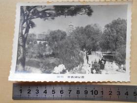 老照片【60年代，南京玄武湖公园】