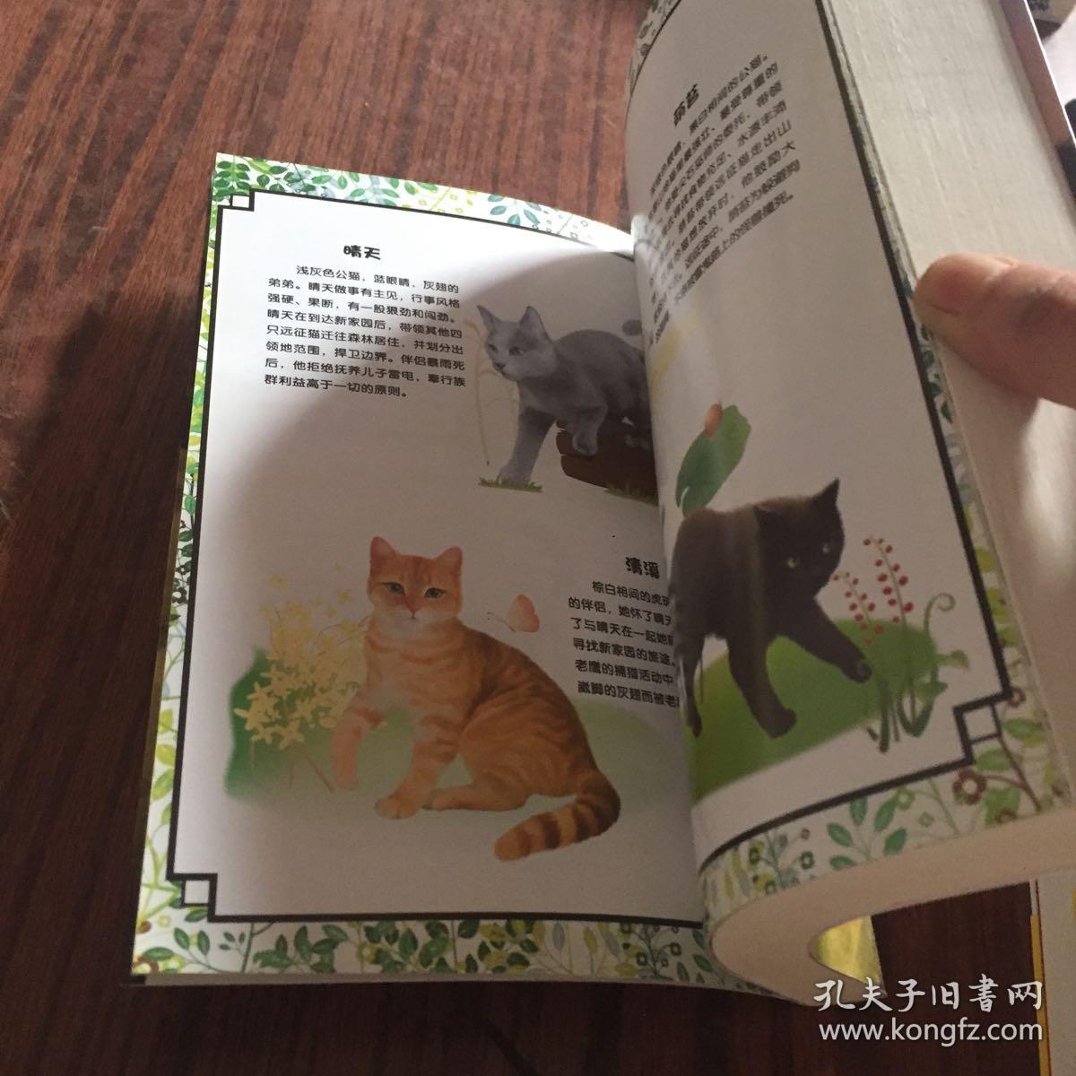 猫武士五部曲之一:追随太阳