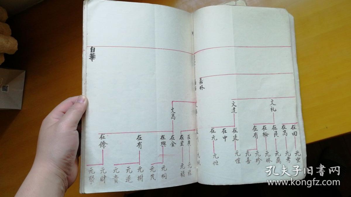 三槐堂 王氏族谱 江皖沪地区(道光版重印本 补遗 89年