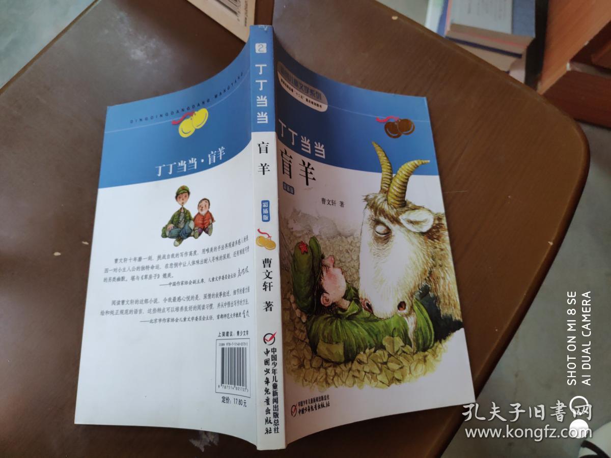 丁丁当当, 盲羊 : 彩插版