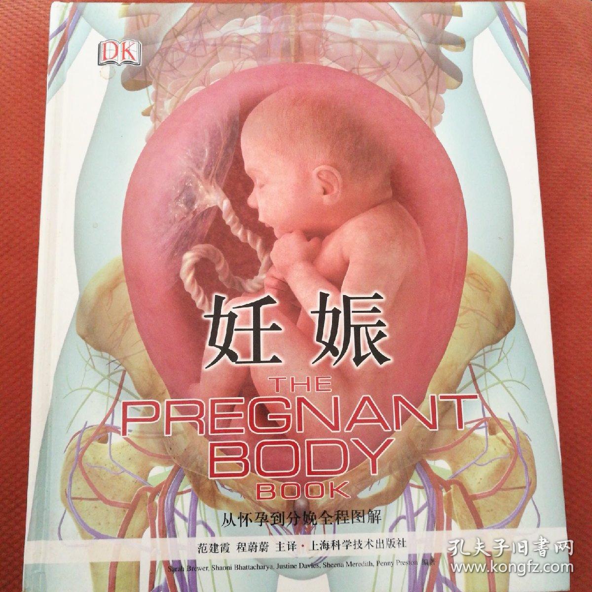 妊娠从怀孕到分娩全程图解