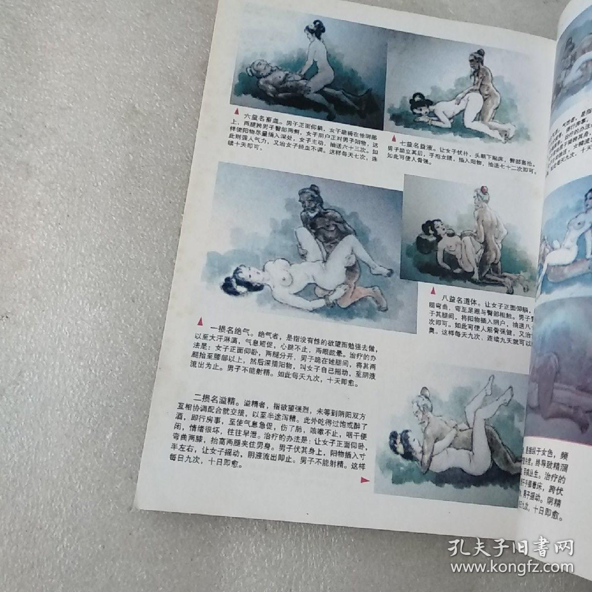 仙山彭祖长寿术(品如图)