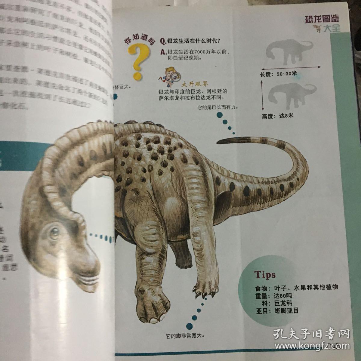 恐龙图鉴大全