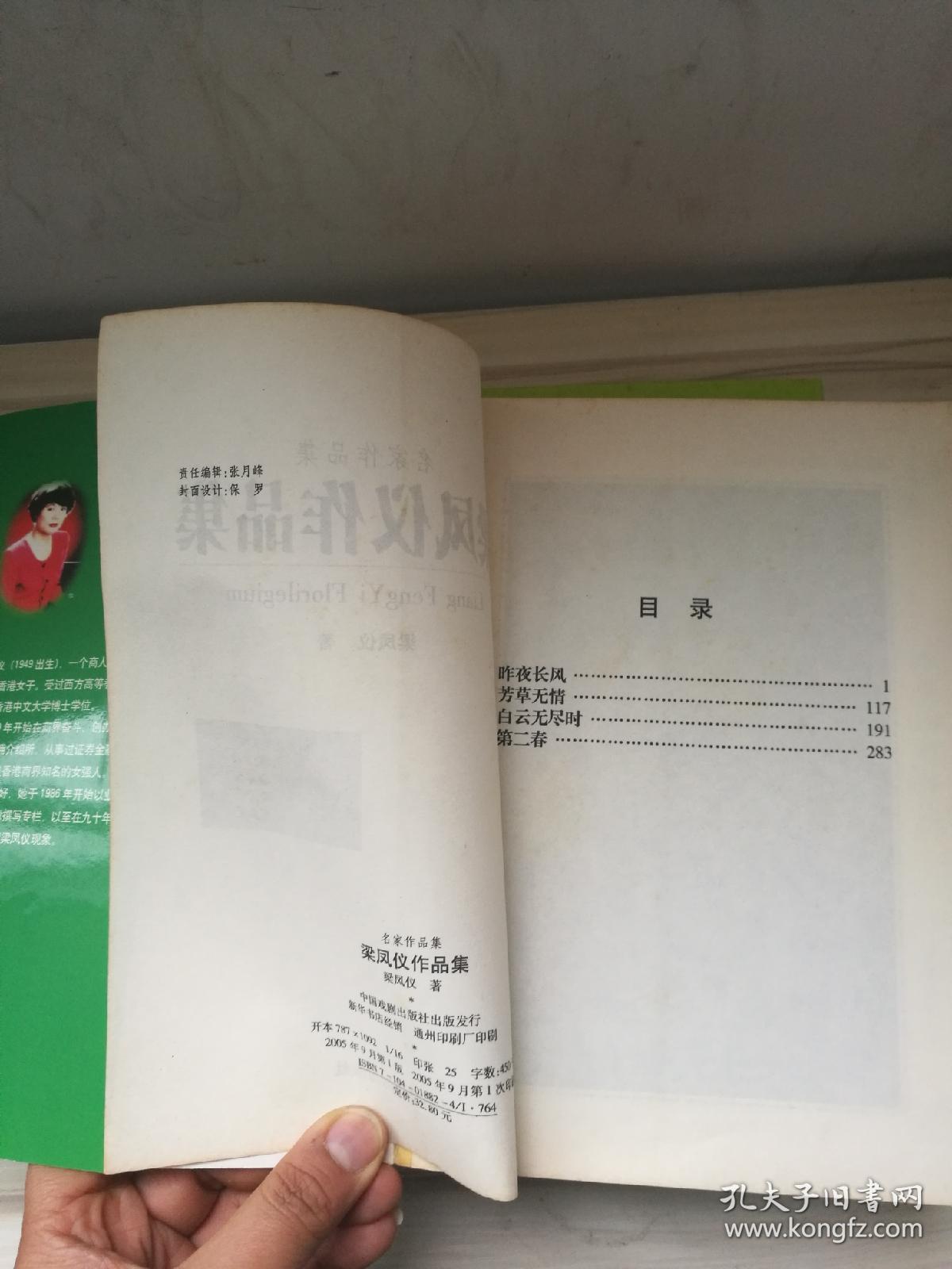 梁凤仪作品集—财经小说系列