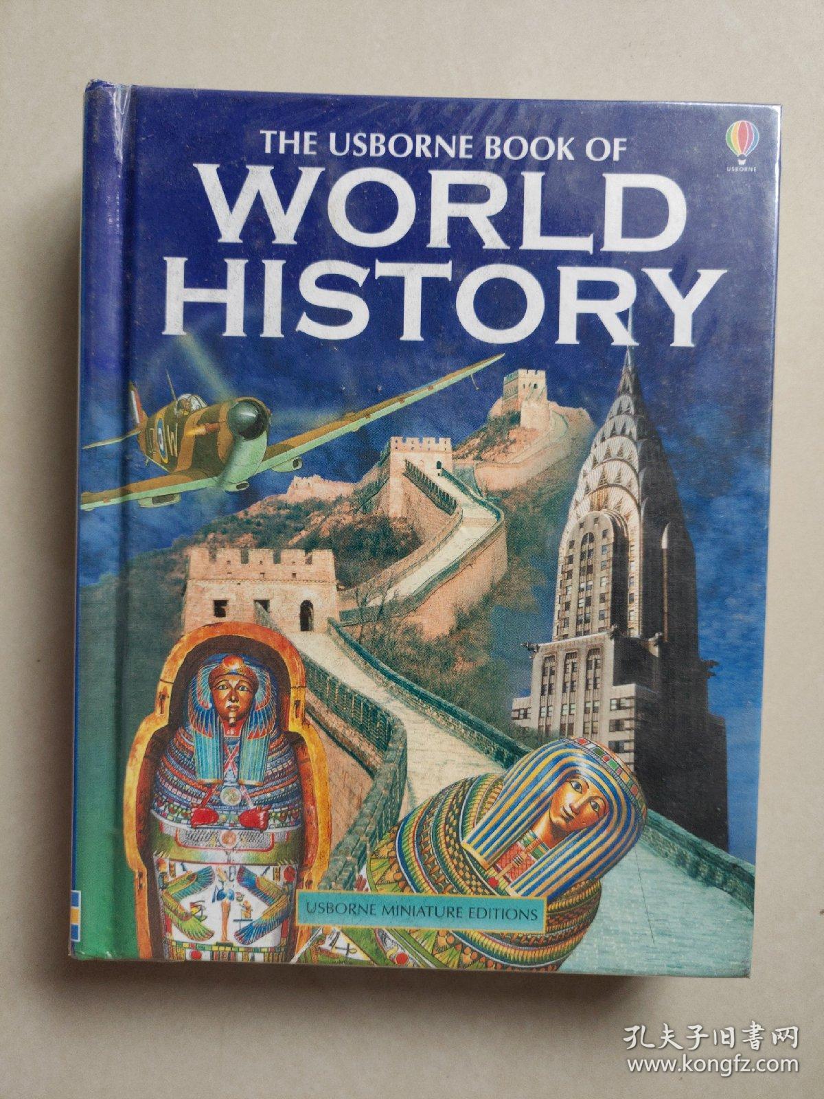 the usborne book of world history