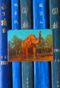 年历片-1975年：大象【一张】