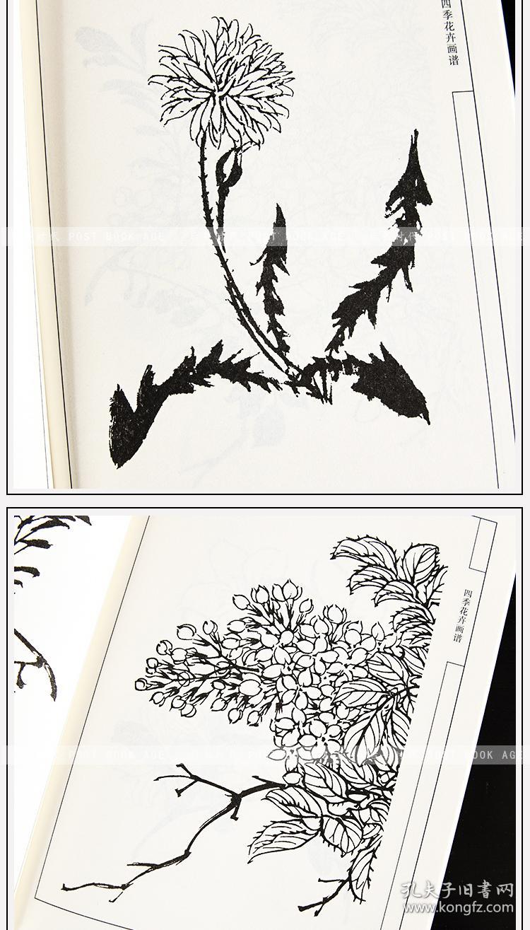 中国画线描 四季花卉画谱 天津杨柳青画社工笔画 绘画