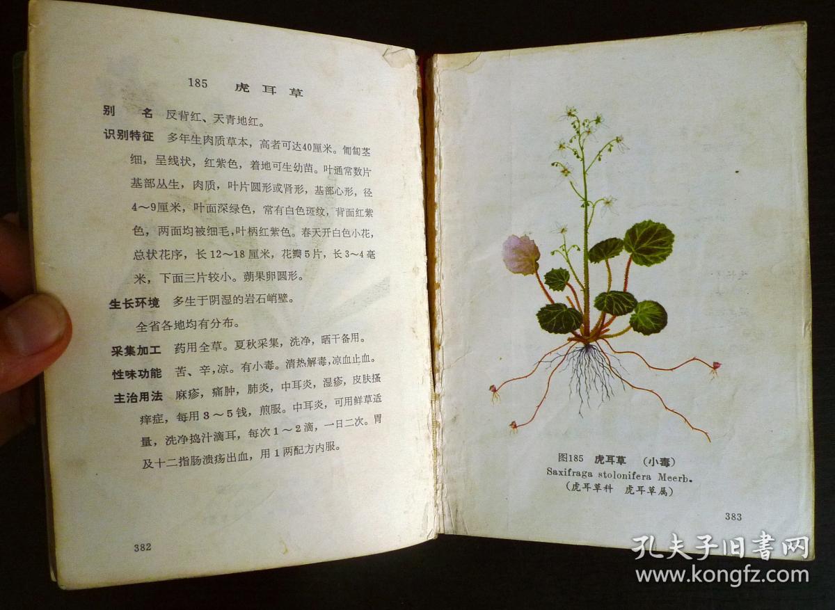云南中草药选