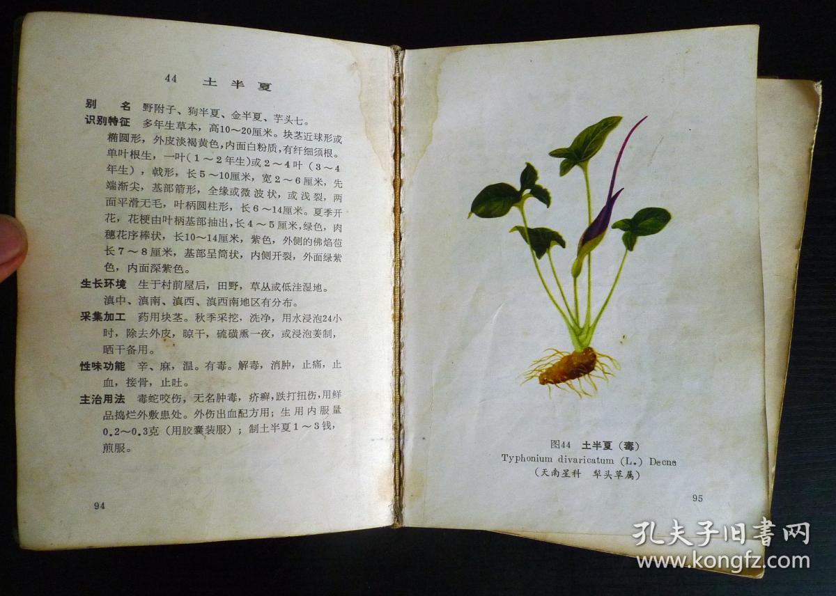 云南中草药选