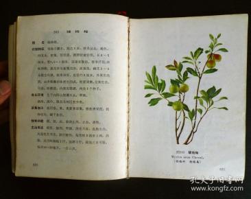 云南中草药选