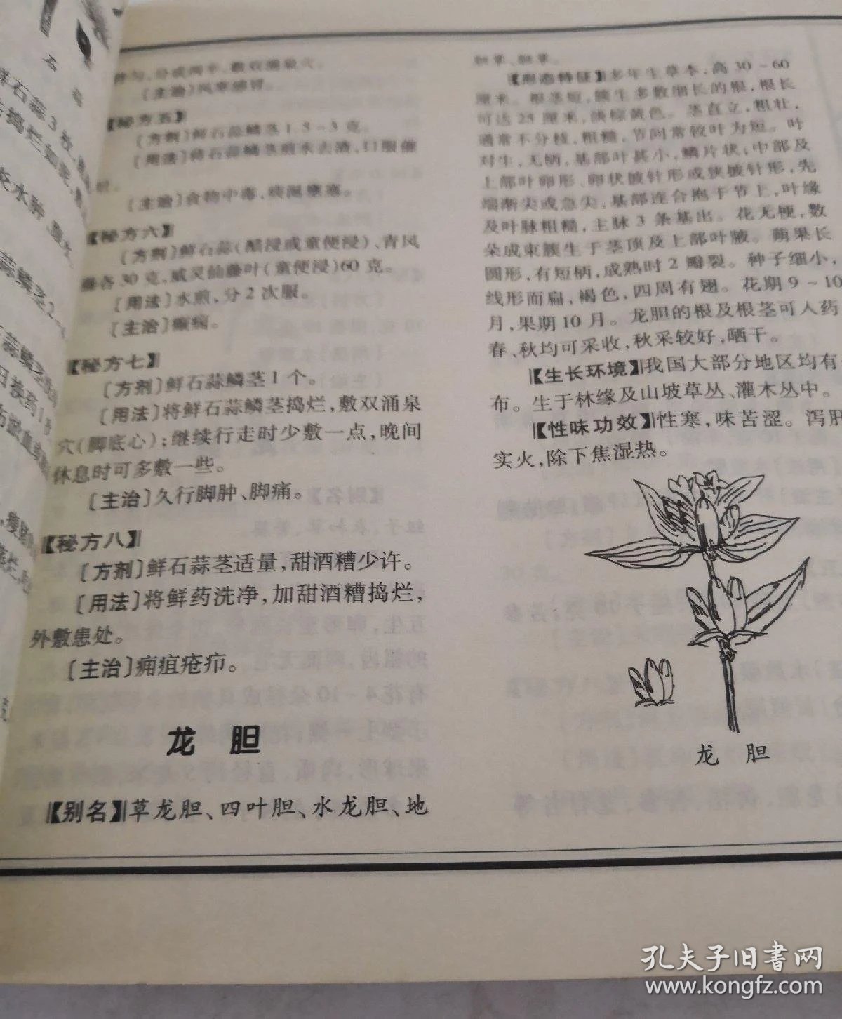 中国百草全书(图文珍藏版)