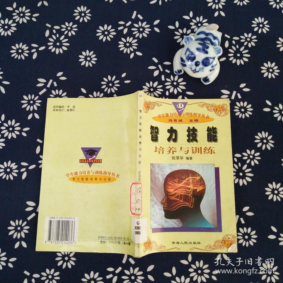 智力技能培养与训练