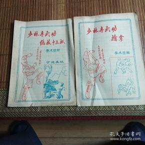《 少林寺武功绝技 十三 抓》《 少林寺武功擒拿》两册合售!