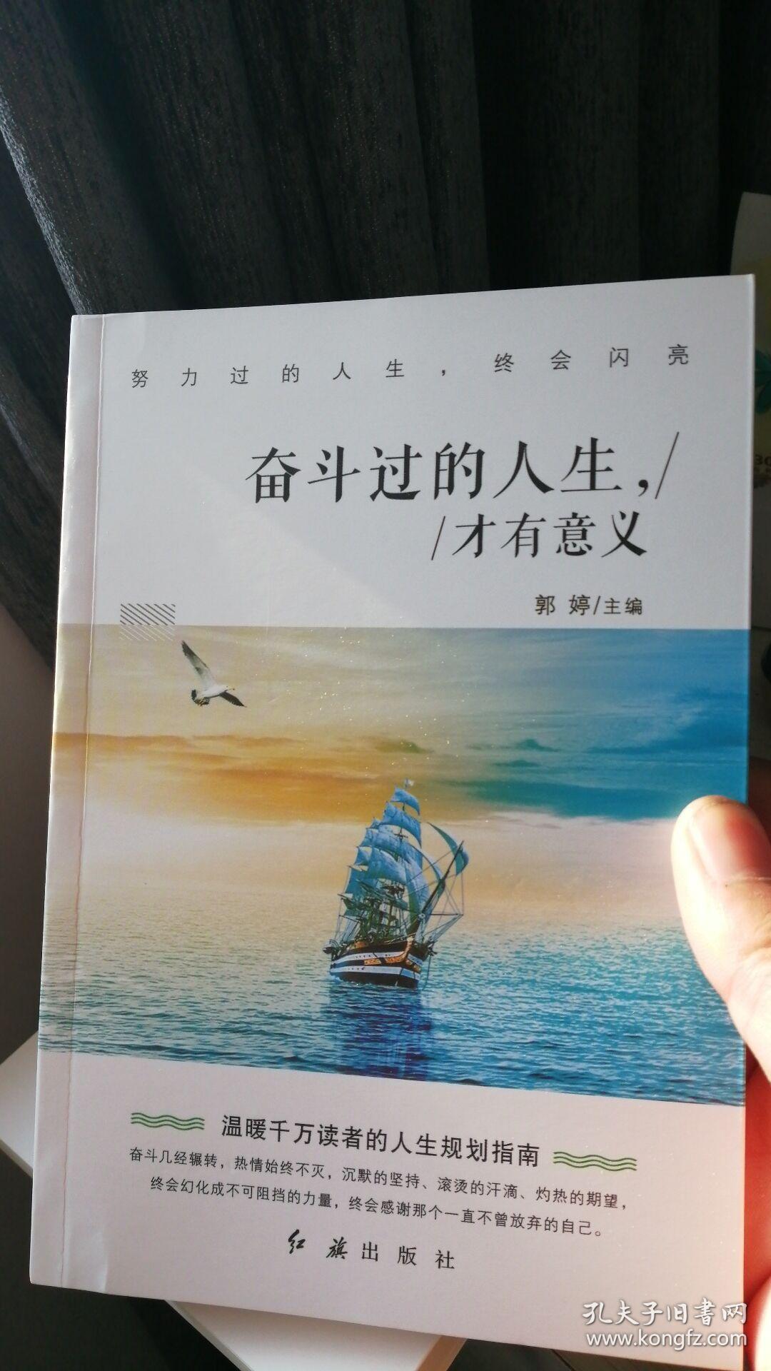 奋斗过的人生才有意义(正版新书)温暖千万读者的人生规划指南