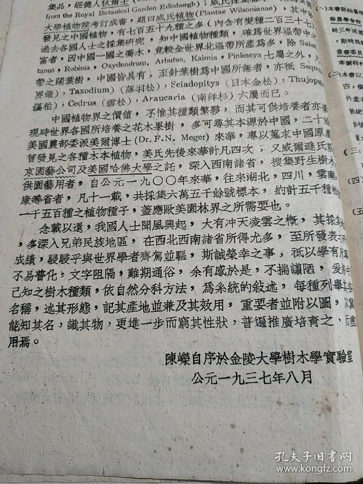 布面精装厚册:中国树木分类学(民国教会大学金