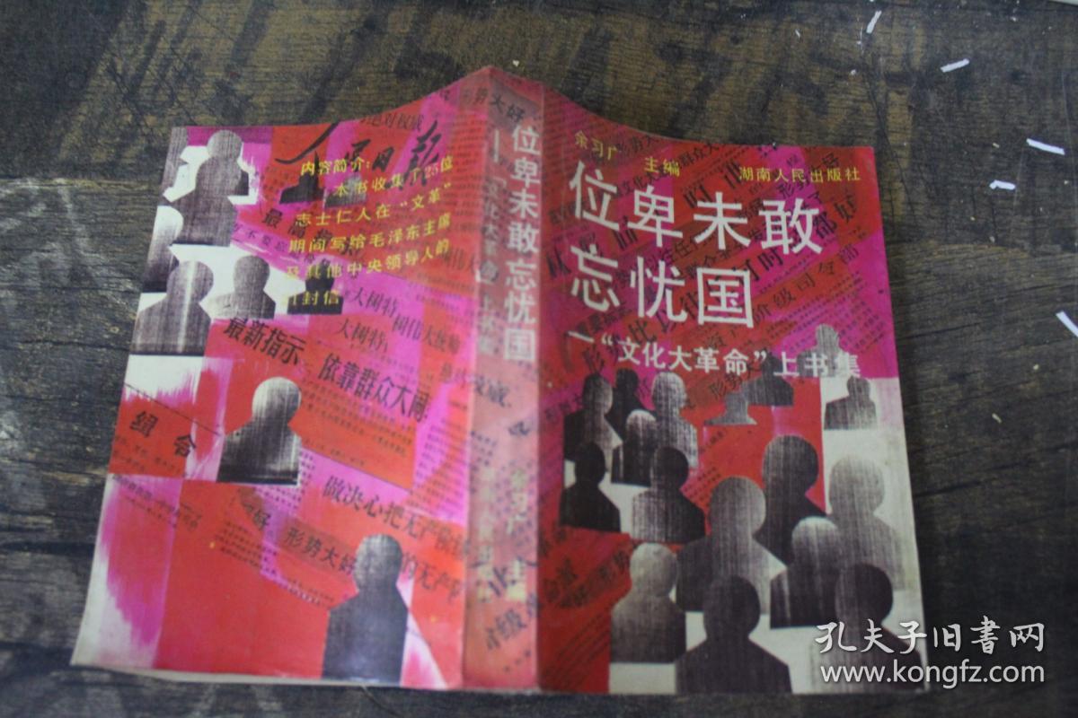 位卑未敢忘忧国 文化大革命上书集