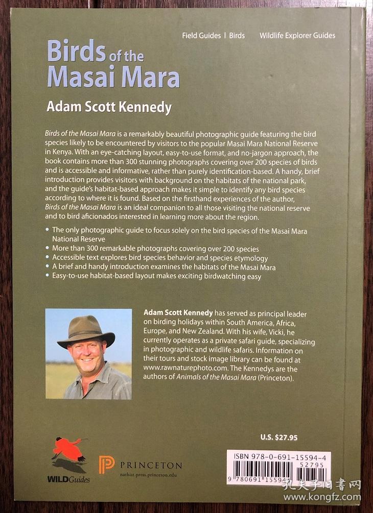birds of the masai mara 马赛马拉鸟类识别手册