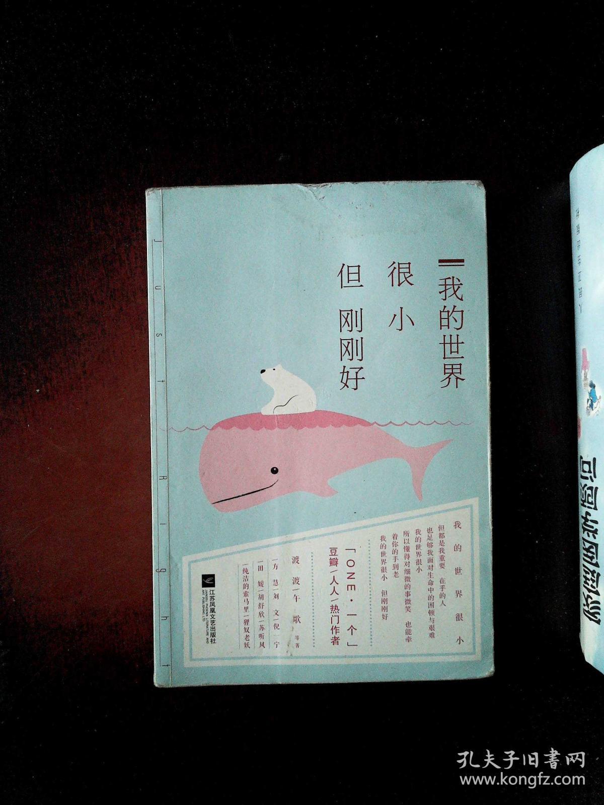 我的世界很小,但刚刚好