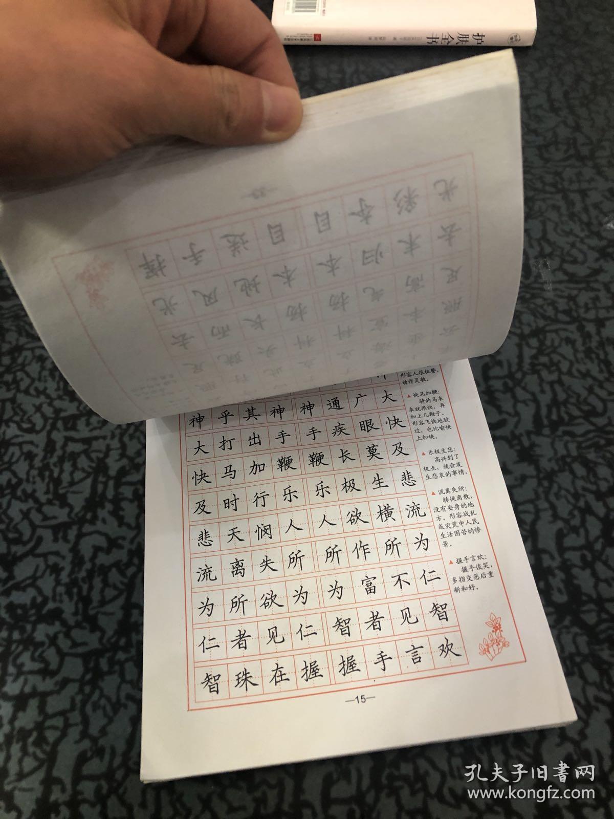 接字成语——钢笔楷书规范字帖,常用成语系列