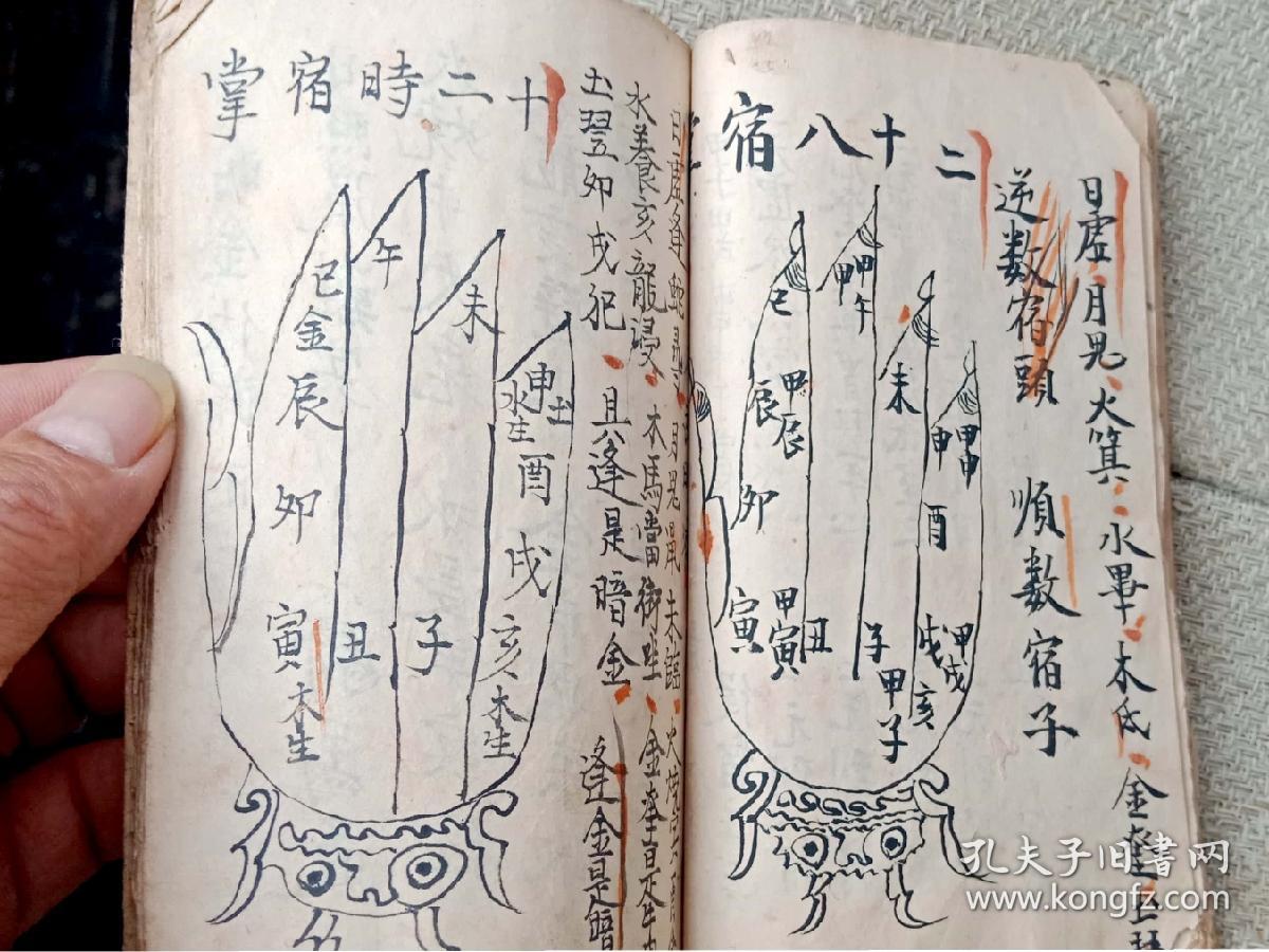掌诀密要拦路虎起十二位满掌月建掌中宫掌明金伏断掌