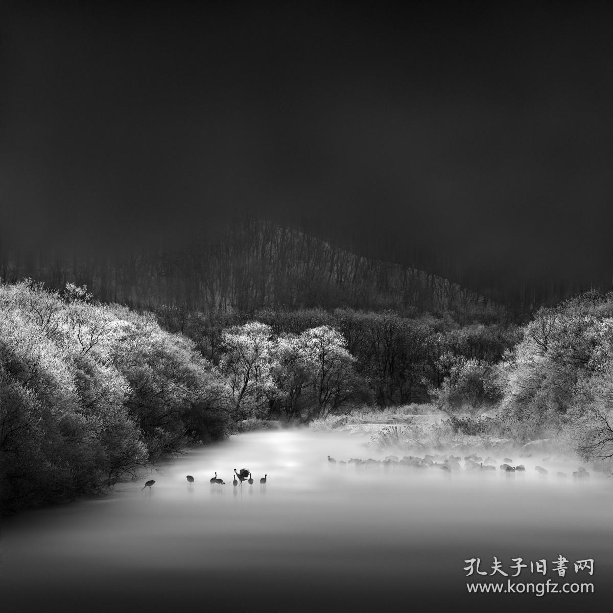                段岳衡,职业摄影
