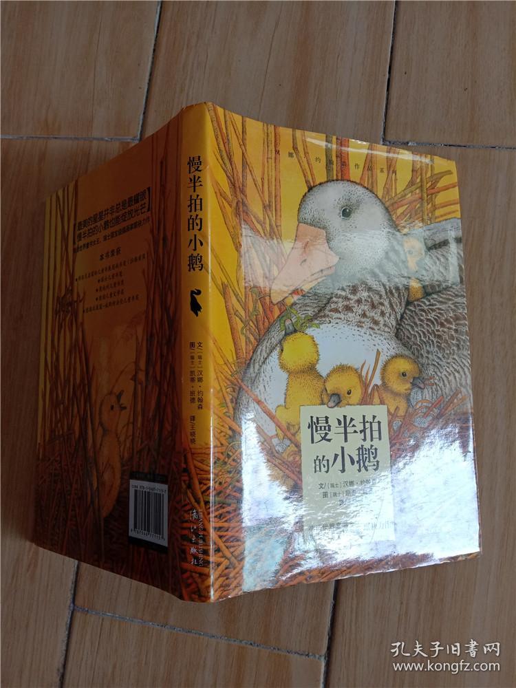 慢半拍的小鹅