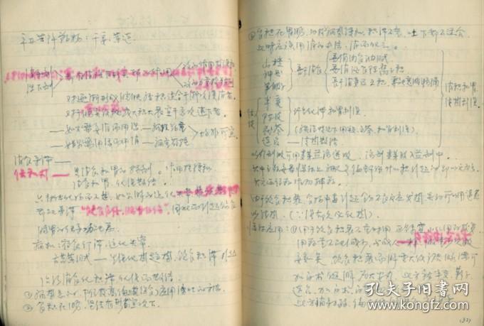 方剂学笔记 中医开方子的资料(全店满30元包挂刷,满100元包快递,新疆
