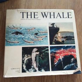 The  Whale      m