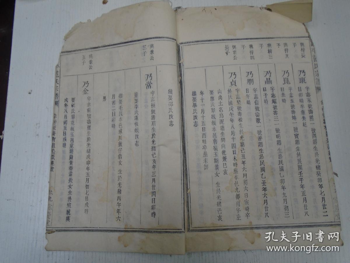 民国版/余庆堂《高平范氏宗谱》(仁十二公七世孙登云公派纪实由抚宜居