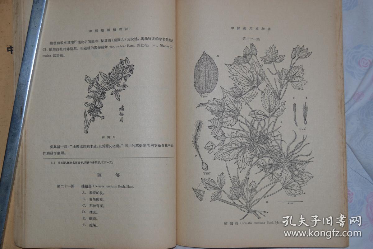 科学出版社 《中国药用植物志》1~4册 全场包邮