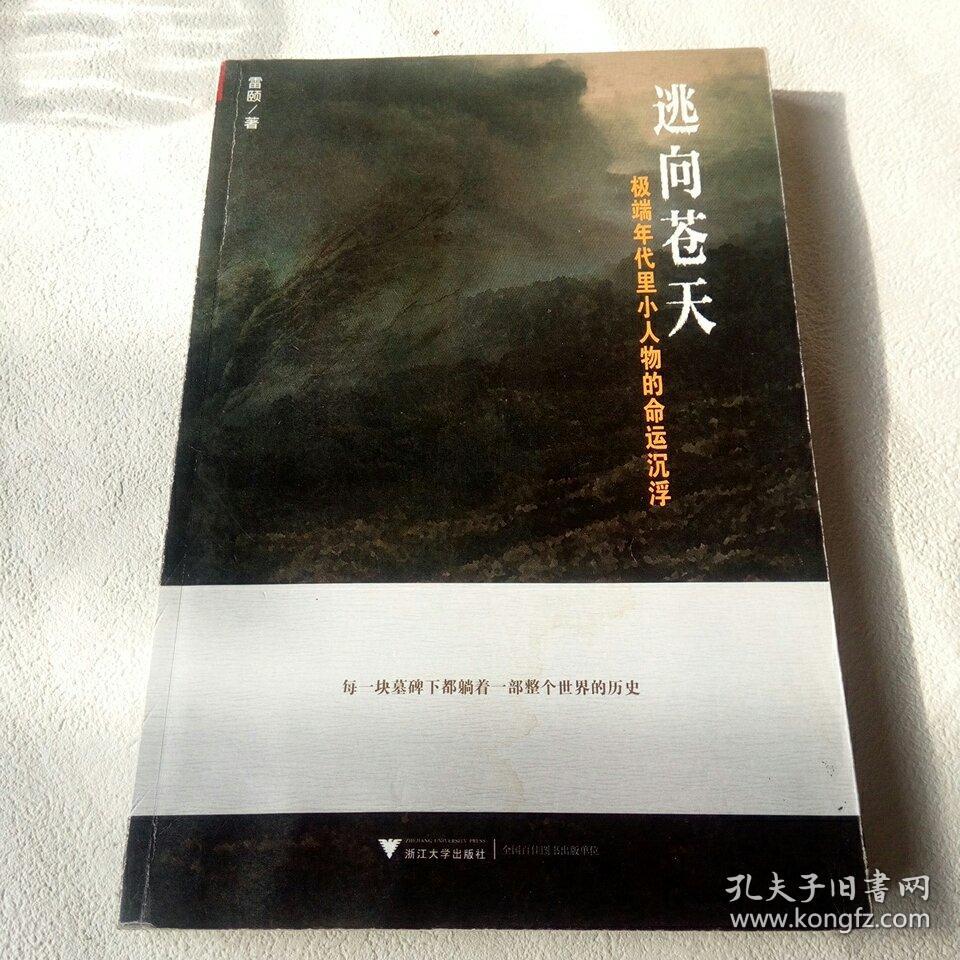 逃向苍天:极端年代里小人物的命运沉浮