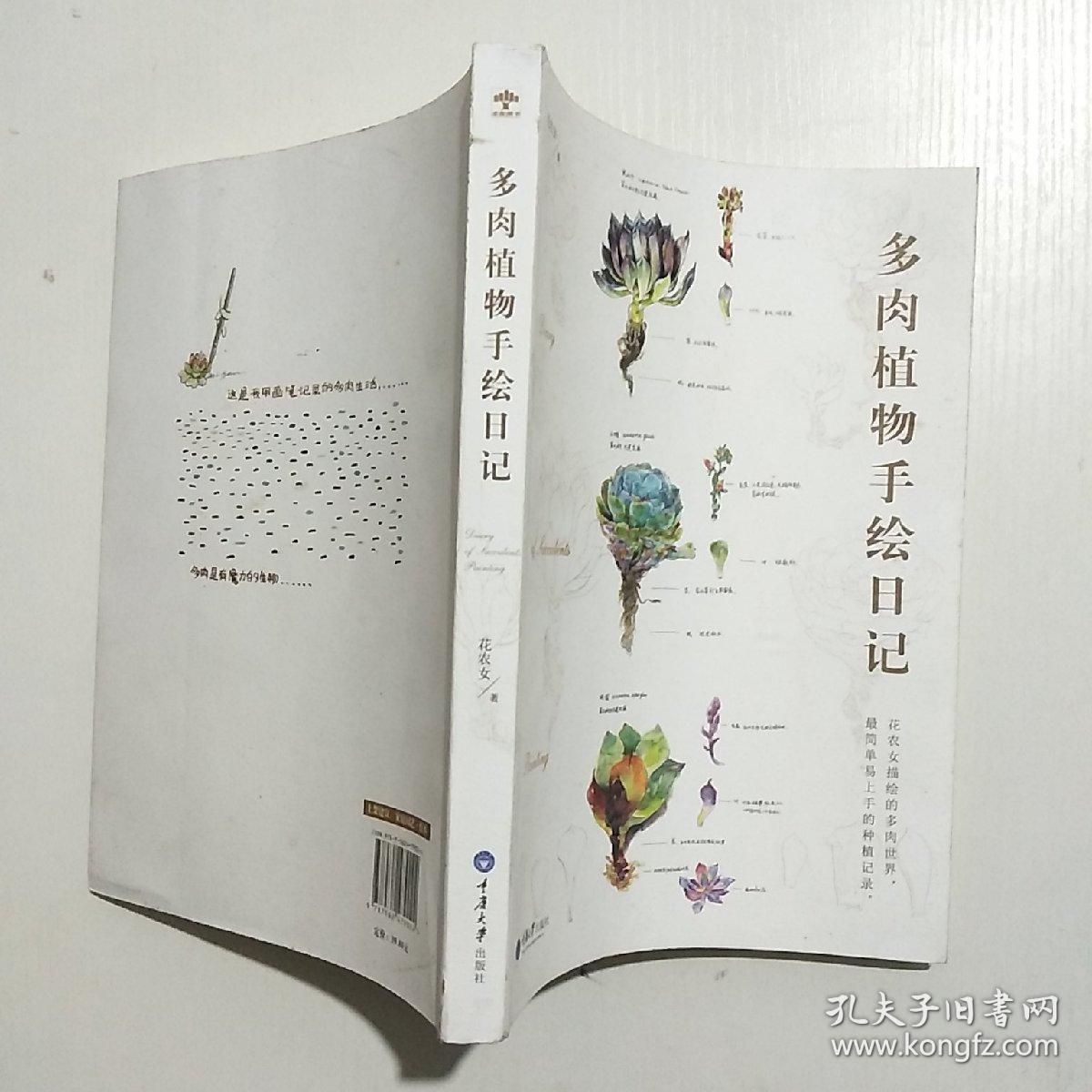 多肉植物手绘日记
