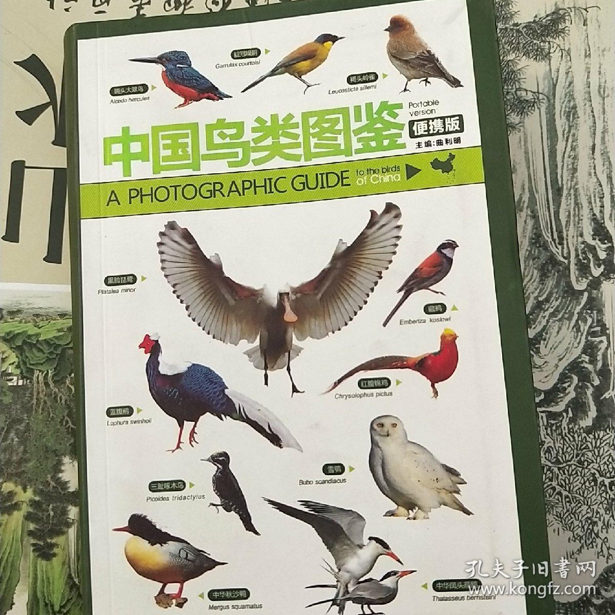 中国鸟类图鉴(便携版)