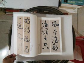 李小刚楹联暨全国获奖书法家邀请作品集