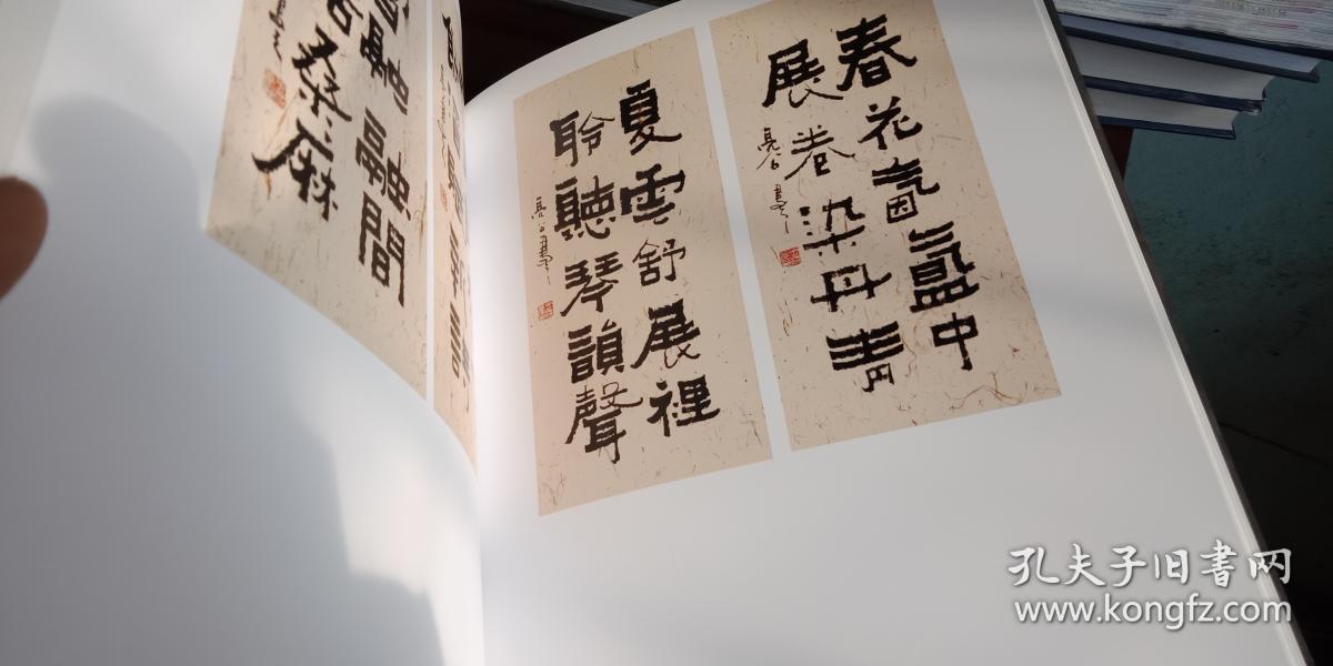 中国当代书画名家 王洪亮书法集