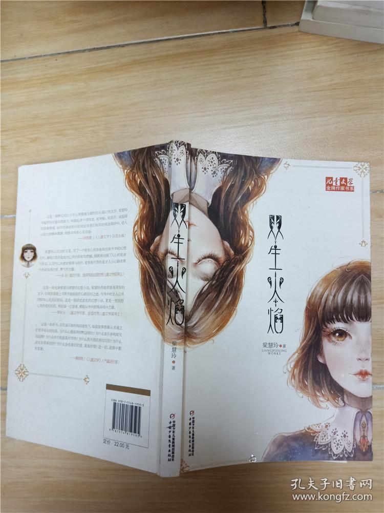 儿童文学金牌作家书系:双生火焰