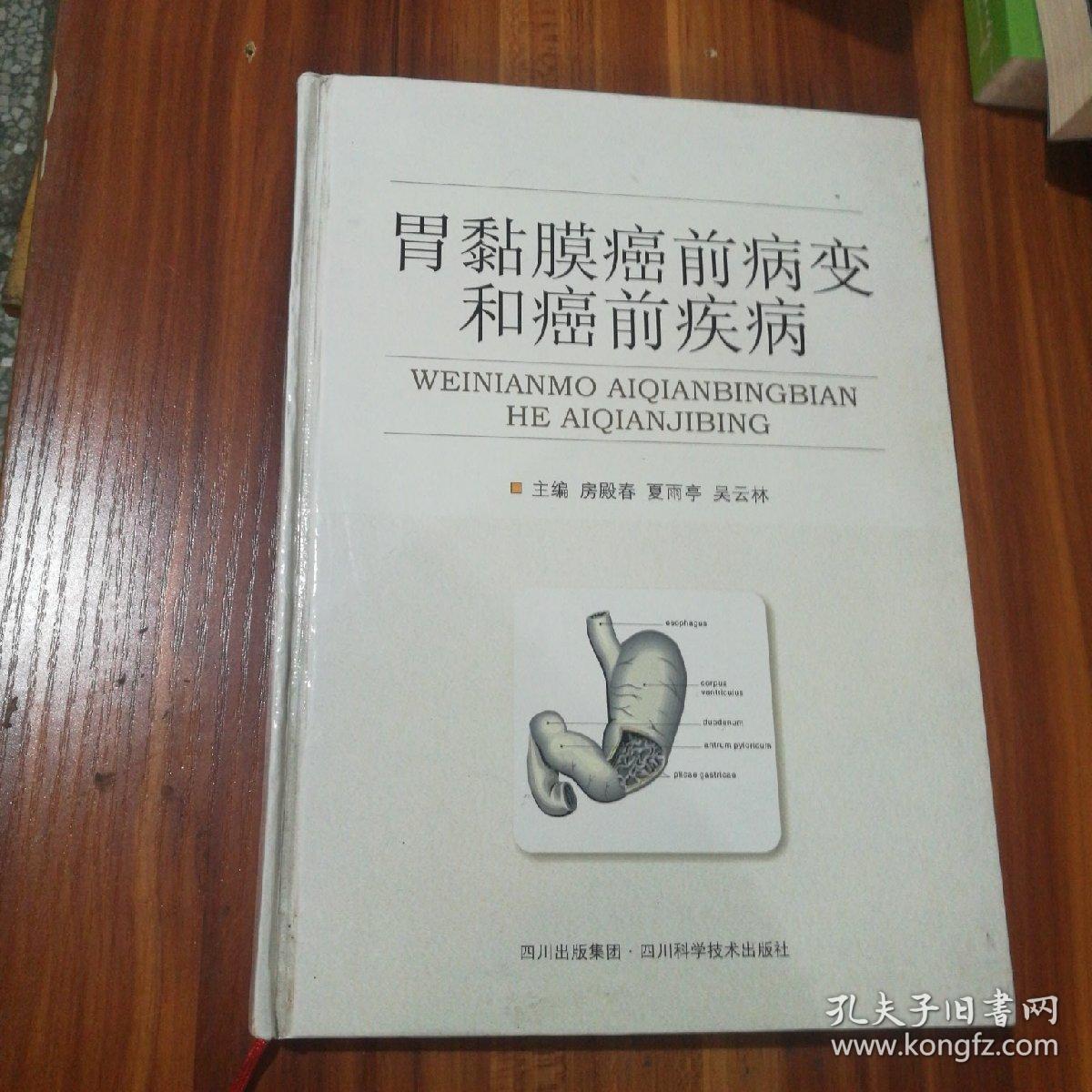 胃黏膜癌前病变和癌前疾病_房殿春,夏雨亭,吴云林主编