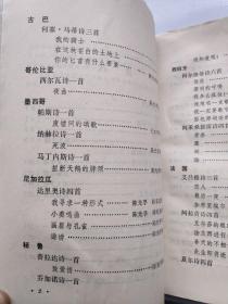 寂寞星球的玫瑰简谱_玫瑰少年数字简谱(2)