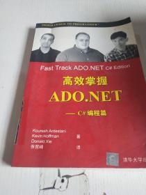 高效掌握 ADO.NET